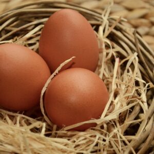 Huevos de Gallina